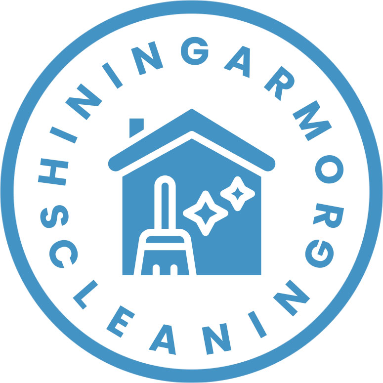 Shining Armor Cleaning
